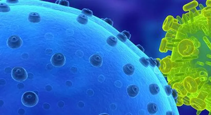 Un test revela virus que han afectado a una persona 