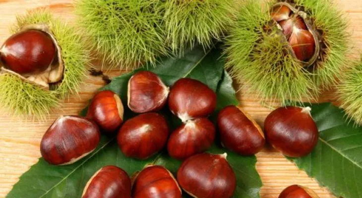 4 propiedades saludables de las castañas