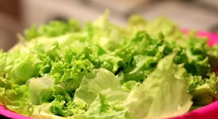 Té de lechuga es la solución perfecta para el insomnio