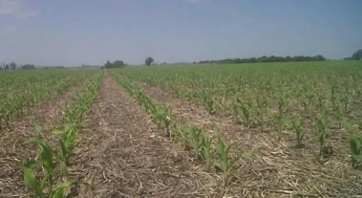 Gobierno entrega 11.2 millones de pesos a productores agricolas del Sur