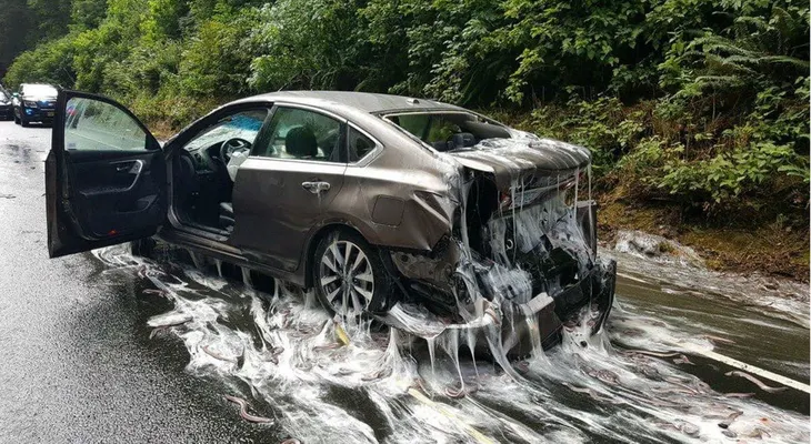 La "repugnante" consecuencia de un insólito accidente de tránsito