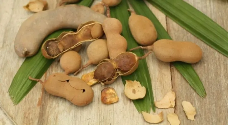 El tamarindo y sus beneficios para la salud; como consumirlo