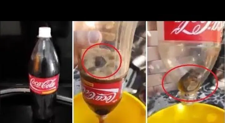 Un ratón en una botella sellada de Coca-Cola invade las redes 