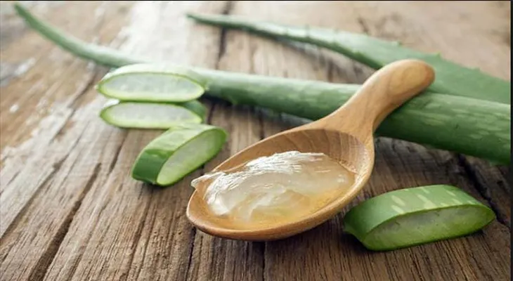18 usos increíbles del aloe vera que te dejarán con la boca abierta. De ahora en mas no volverás...