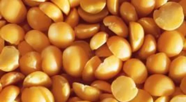 La dieta de proteína en la orina Baja