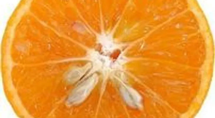 Los extractos de semilla de naranja para la artritis, el cáncer y enfermedades del corazón