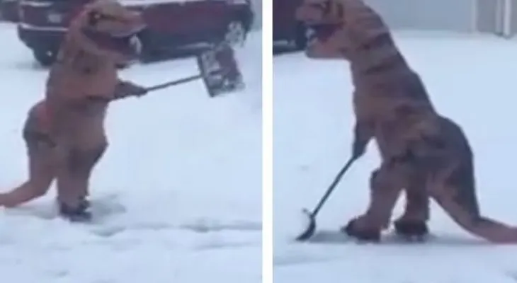 Dinosaurio despeja la nieve en Estados Unidos
