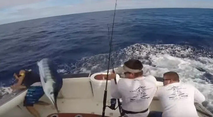 Un pescador casi muere ensartado por un pez espada 