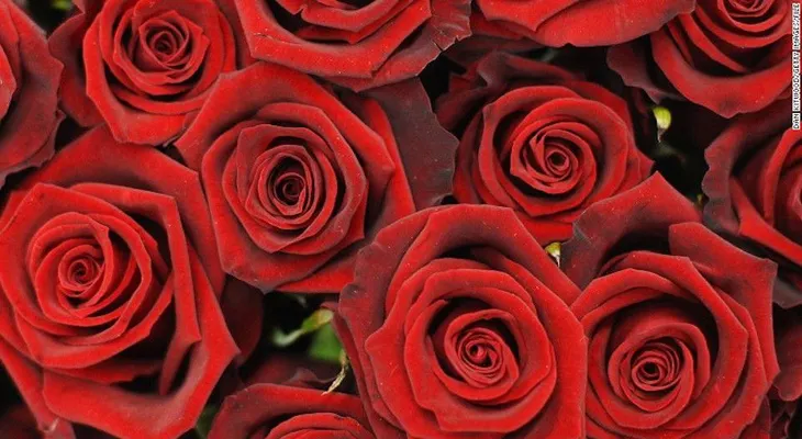 Las acciones de esta empresa se disparan un día antes de San Valentín