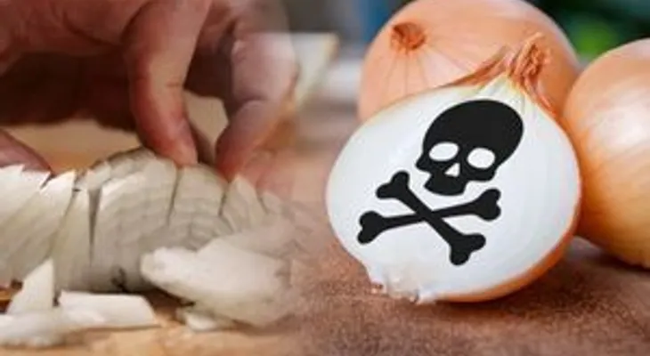 Nunca use de nuevo una cebolla cortada: ABSORBEN BACTERIAS que son venenosas