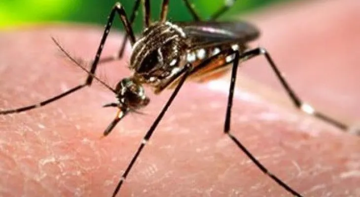 Muere otro niño por dengue en Santiago; van 3 en 4 días