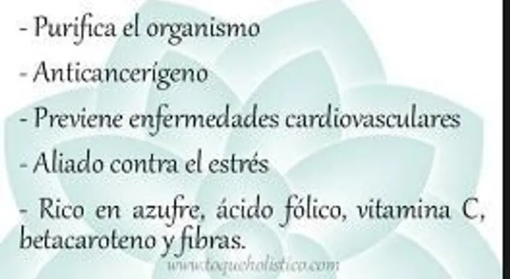 Si te pasa de tragos comer repollo es la mejor solución; cura cientos de enfermedades