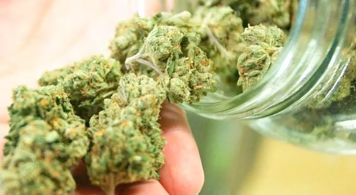  La Comisión Europea estudia posibilidad de legalizar el cannabis para fines terapéuticos 