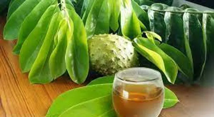 El poder del té de hojas de guanábana