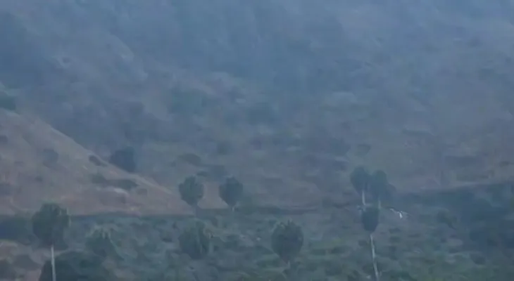 SENPA y Medio Ambiente sofocaron un 100% incendio forestal en Valle Nuevo