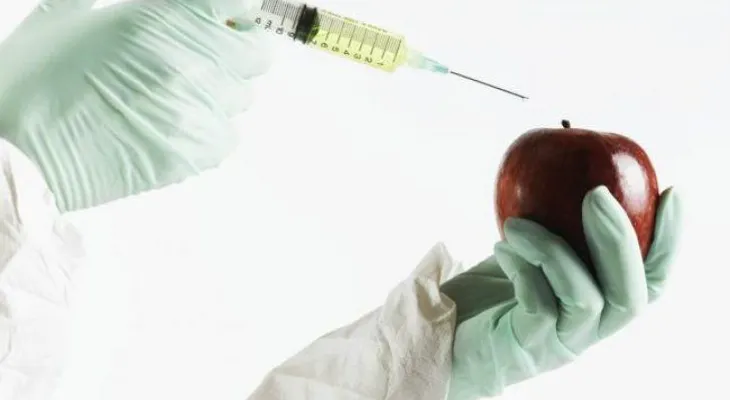 ¿Por qué no deberíamos comer los alimentos que tienen la T de transgénico?