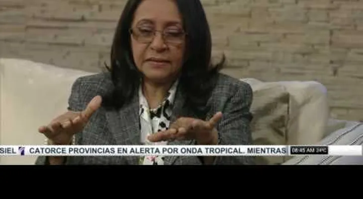 Entrevista a Josefina Arvelo de Participación Ciudadana en El Despertador