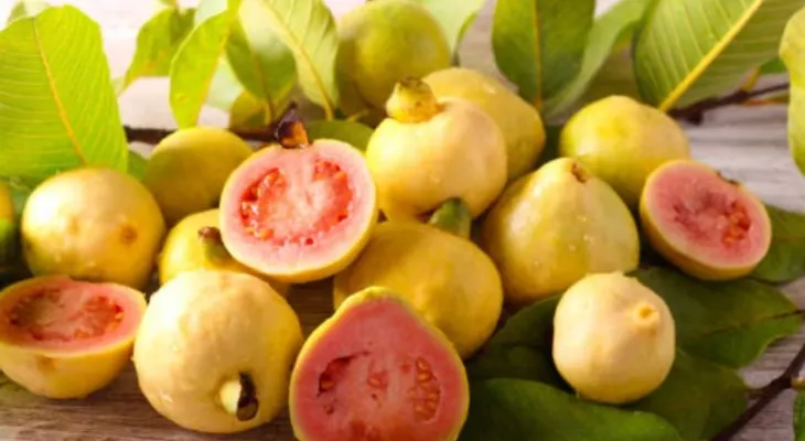 Guava: The Best Secret for Restful Sleep