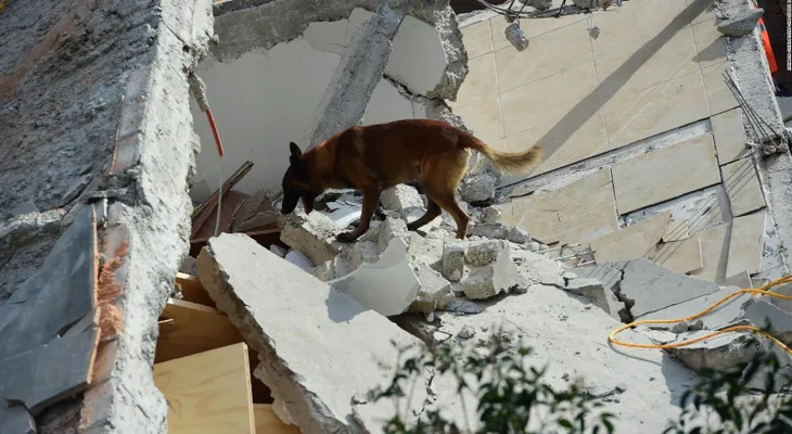 ¿Qué es lo más buscado en Google sobre el terremoto de México?