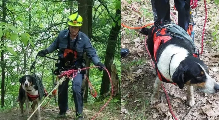 Policías rescatan perro con el uso de drone 