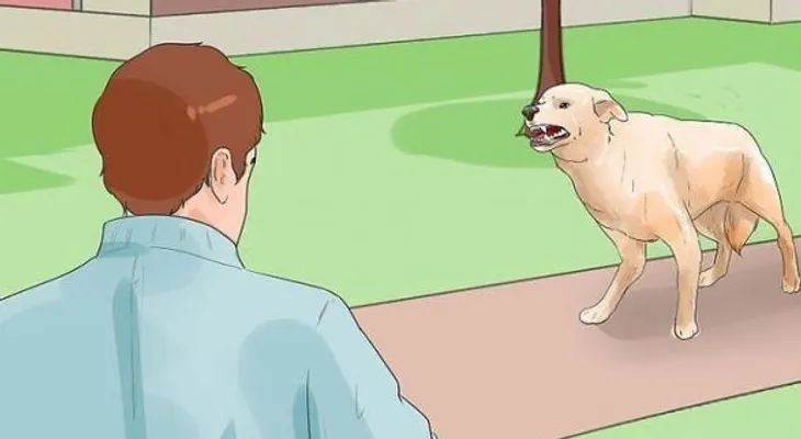 Los perros pueden reconocer si una persona es buena o mala para el dueño 