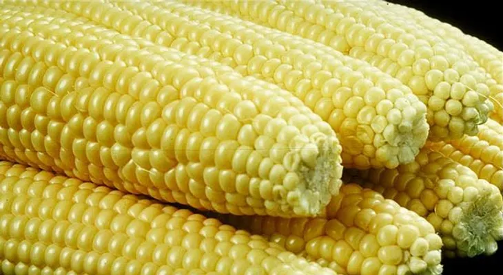 Curiosidades sobre el maíz