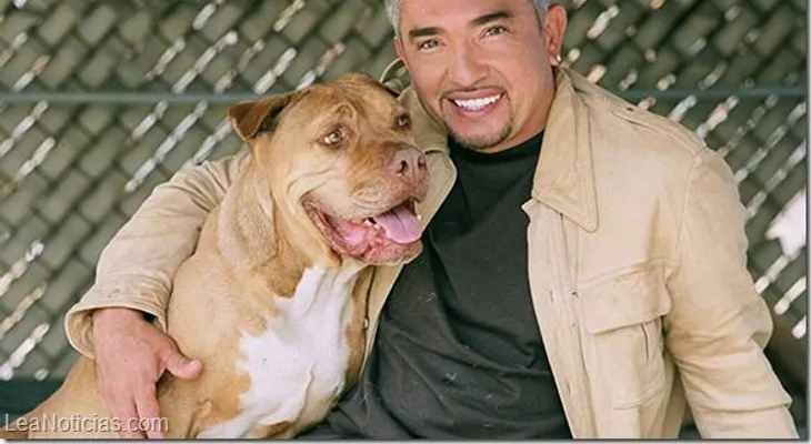 Video: Mal momento para famoso "encantador de perros"