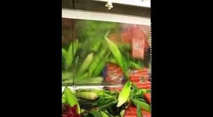  En El Súper, los inspectores encuentran algo más que alimentos (VIDEO)