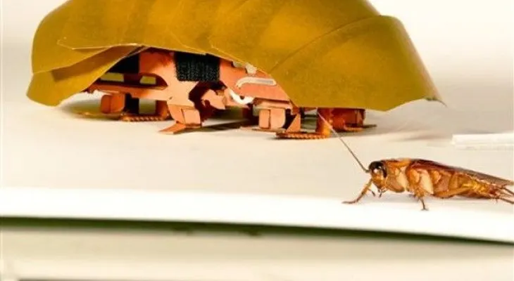 Robot cucaracha ayudará en derrumbes de edificios