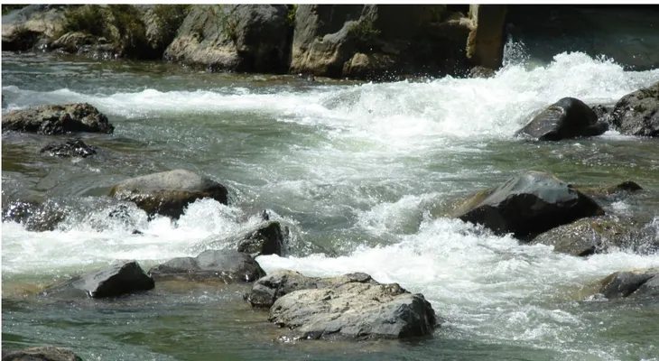 Medio Ambiente refuerza protección del Yaque del Norte