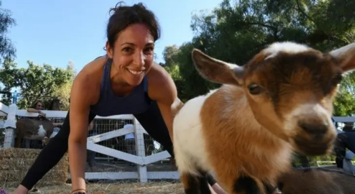 Bienvenidos a yoga con cabras, la última moda en este país 