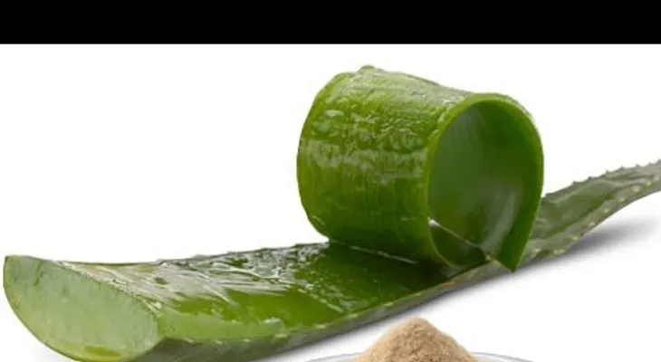 Estos son efectivos remedios caseros para curar y prevenir Enfermedades