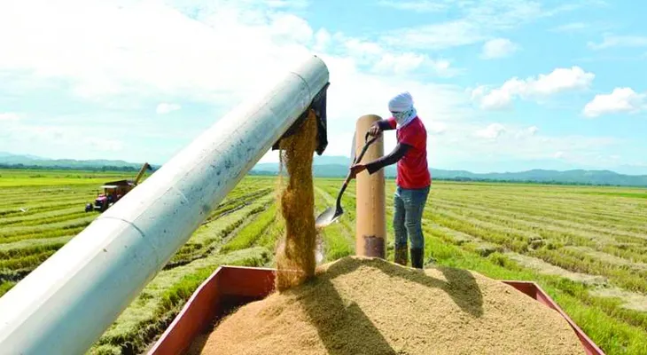 Piantini propone transparentar importaciones de arroz y elevar productividad con la presa del Alto Yuna