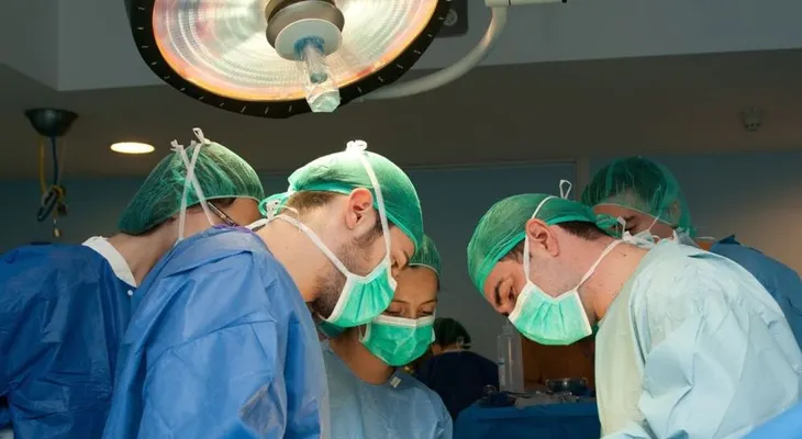 Investigadores de NY descubren como regenerar el corazón