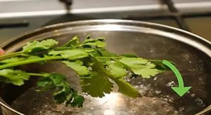 Echo CILANTRO en mi agua, no me enfermo y me ahorro un montón de dinero