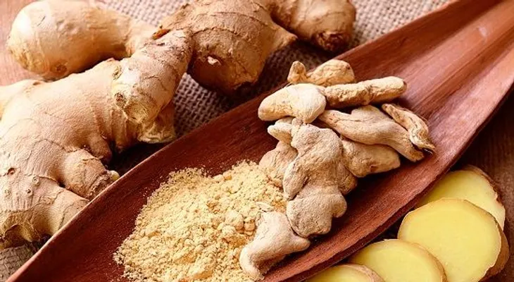 10 antibióticos naturales: ocultada por las farmacéuticas
