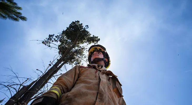 Chile: Alerta roja por incendio forestal en la región de Valparaíso