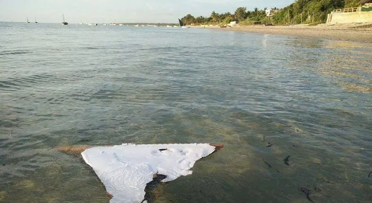 Tras hallazgo de posibles restos del MH370, ¿qué sucederá ahora?
