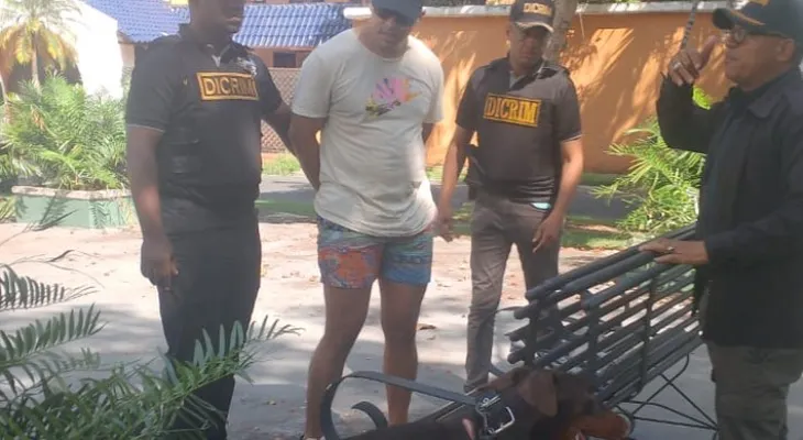 Policía arresta a hombre acusado de lanzar dos perros desde piso 11 en el Distrito