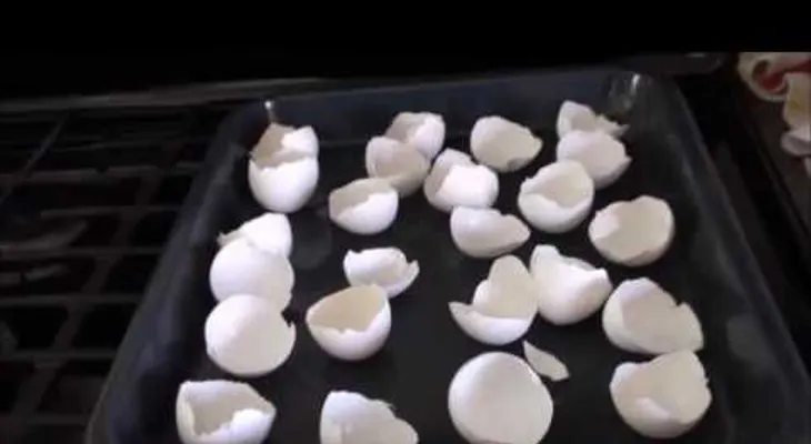 Entérate por qué ella siempre cocina las cáscaras de huevo en el horno (VIDEO)