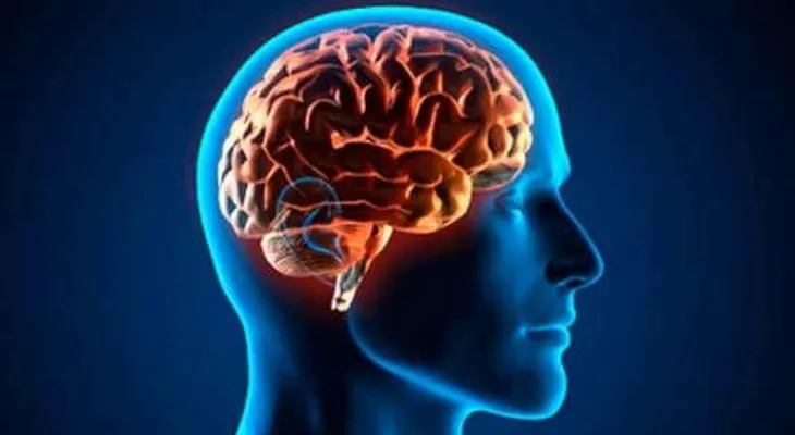  Científicos de EE.UU. crean una molécula asesina que destruye el cerebro 