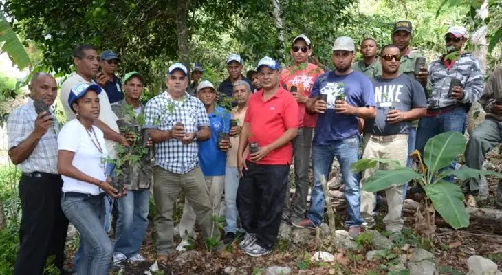 Reforestan en la cordillera Septentrional