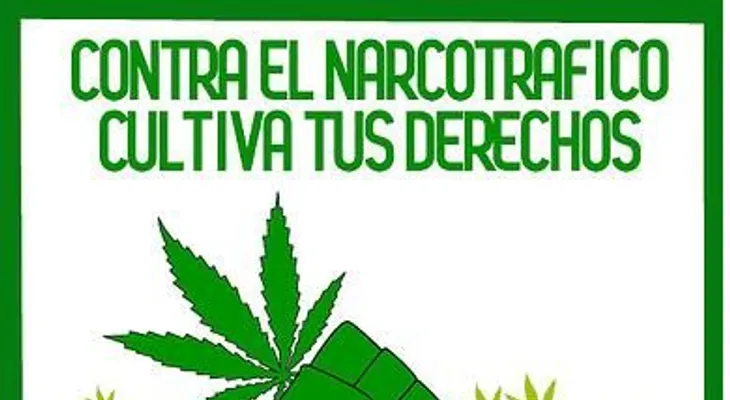 ¿Nueva estrategia narco? Un gato que entrega marihuana