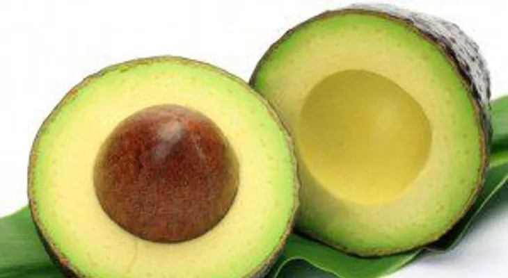 Conoce más sobre beneficios del aguacate...su semilla también se puede consumir 