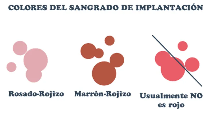 Sangrado de implantación o menstruación: principales consejos