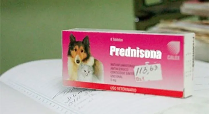 Pacientes trasplantados recurren a fármacos veterinarios