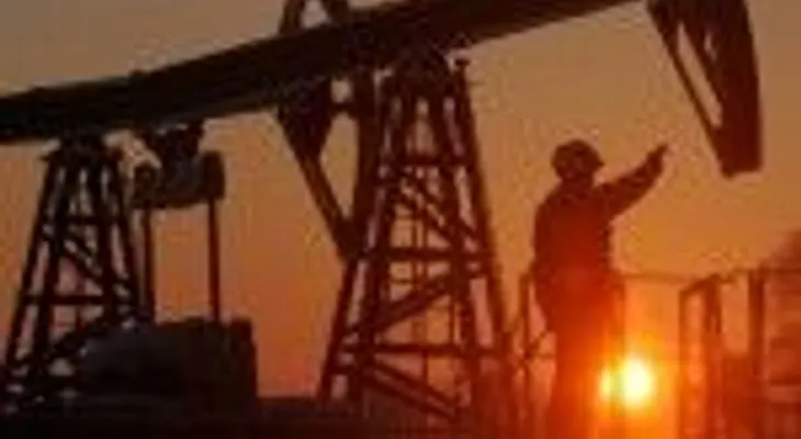 El petróleo de Texas abre con alza del 1,38 % hasta 46,17 dólares