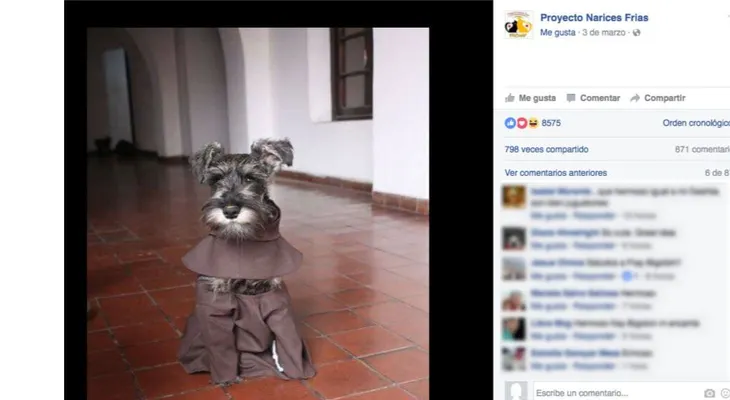 Fray Carmelo; el cachorro boliviano vestido de monje que se volvió una celebridad en internet