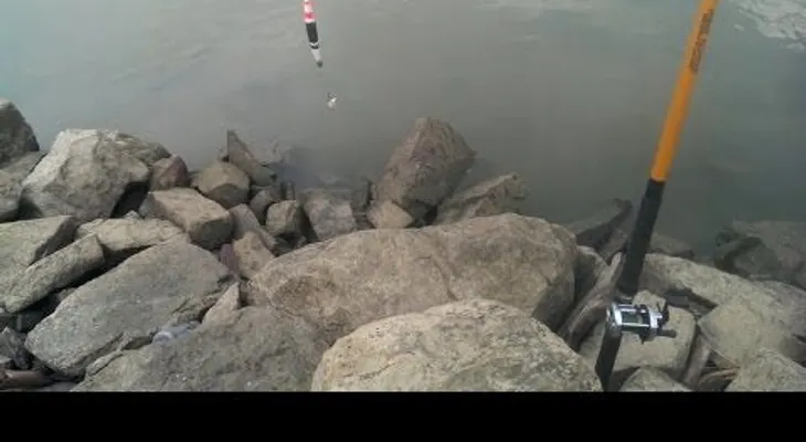 Lo que pescó este hombre no fue precisamente un pez