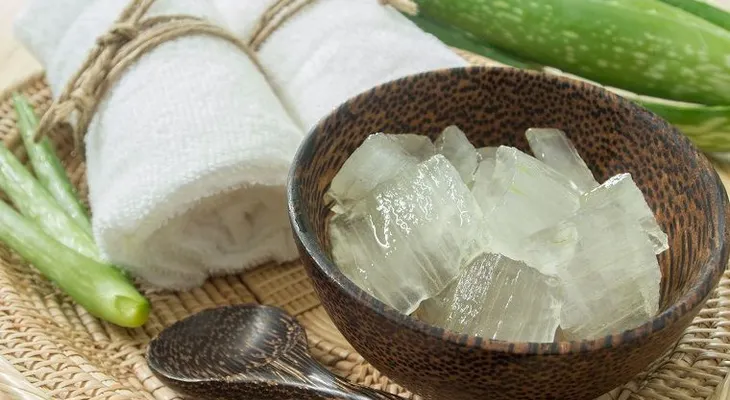 Aloe Vera o sábila para tratar la diabetes